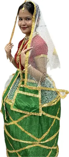 South Indian, Manipuri, Satriya Dance Costume